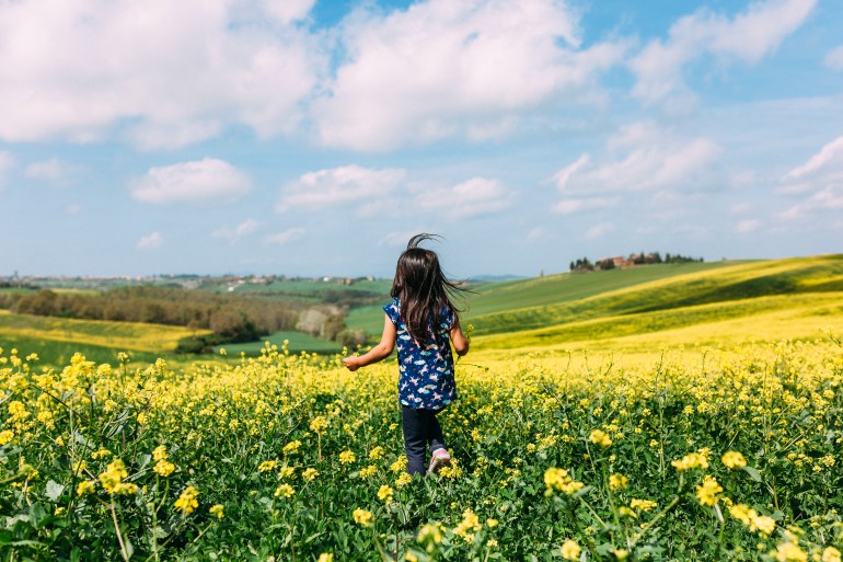 In the fields of Tuscany